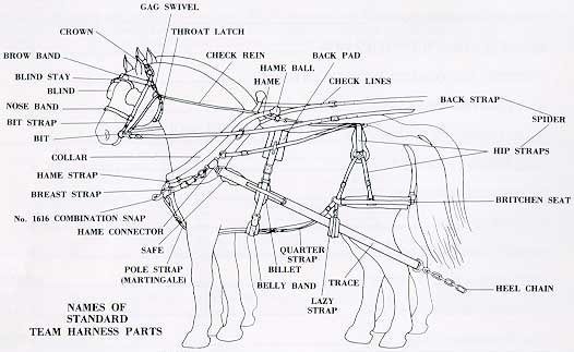 Stitch 'n Hitch - Standard Team Harness mule harness parts diagram 